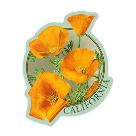 Die Cut Sticker California, Poppy Flowers, Contour Vinyl Sticker 3 to 6 inches, (Waterproof Decal for Cars, Water Bottles, Laptops, Coolers), Large