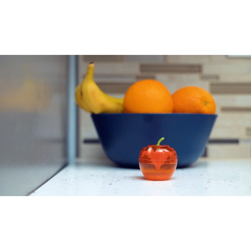 Raid Fruit Fly Trap Bundle, Set of 3 2-Pack Apple