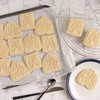 Set of 2 Respiratory Themed Cookie Cutters (Designs: Lungs and