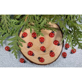 Miniature Resin Ladybugs for Crafts, Decorations, Ornaments, Fairy House, Garden Decor, Bright Red, Mini,Tiny