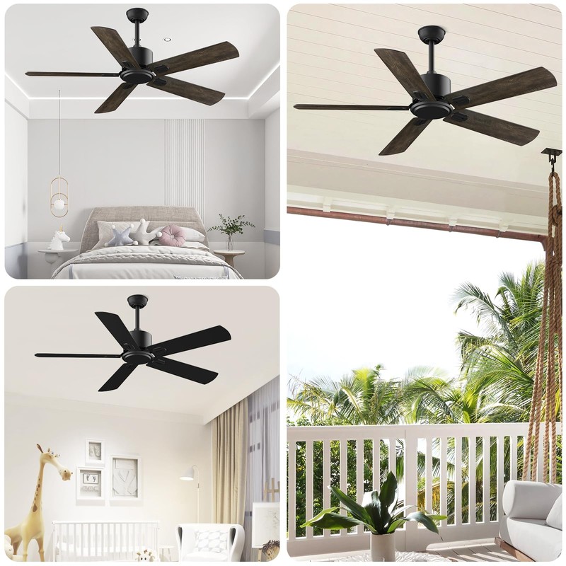 Biukis Ceiling Fan with Remote: 52 Inch Outdoor Ceiling fans