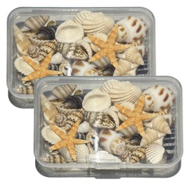 Vxcvzv Sea Shells Different Shape Ocean Seashells Mixed Sea Shells Starfish Natural Seashells for Fish Tank Decorations Beach Painting Arts & Crafts DIY Crafts Gallery Home DIY