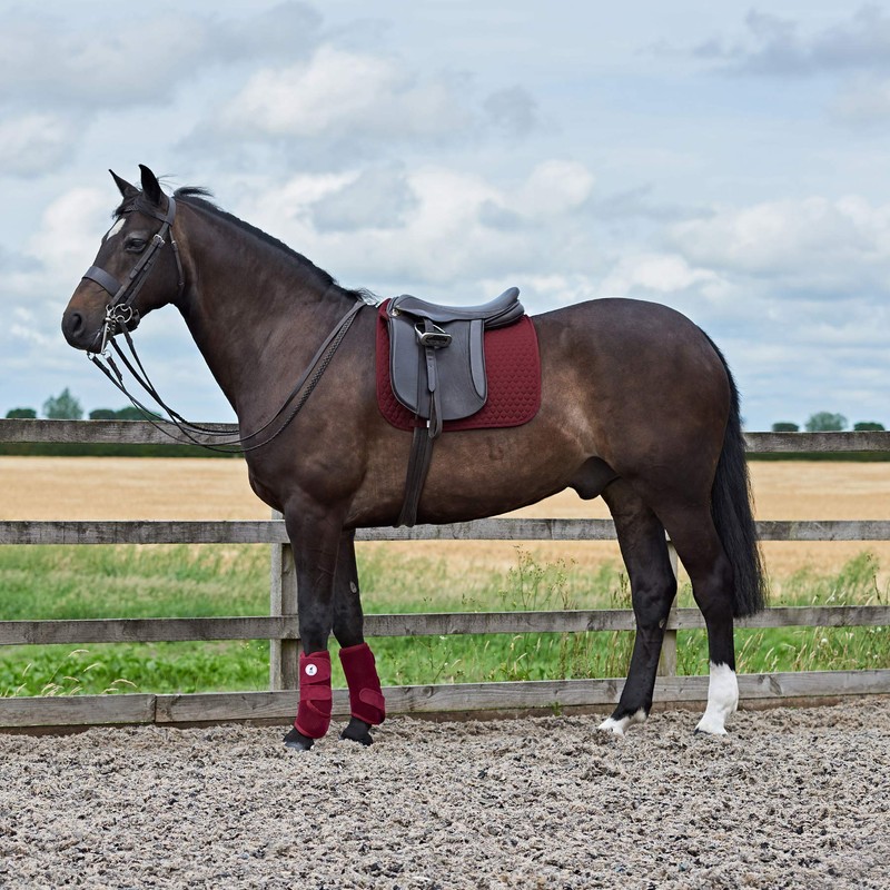 Derby House Pro Sports Exercise Boots Pony Plum