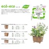 Yamato Plastic eco&eco Planter, マル32ガタ Eブラウン