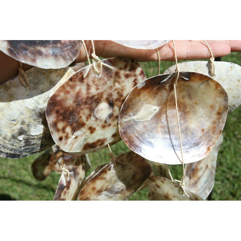 Salty Pelican Pack of 2 Large Saddle Oyster Seashells Windchime