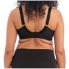 Elomi Morgan Plain Underwired Full Cup Bra (36FF, Black)