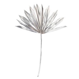 Vickerman 720103-13.75-19.5" Met Champ Palm Sun Spr 12/bg (H7PPS225) Dried and Preserved Palms