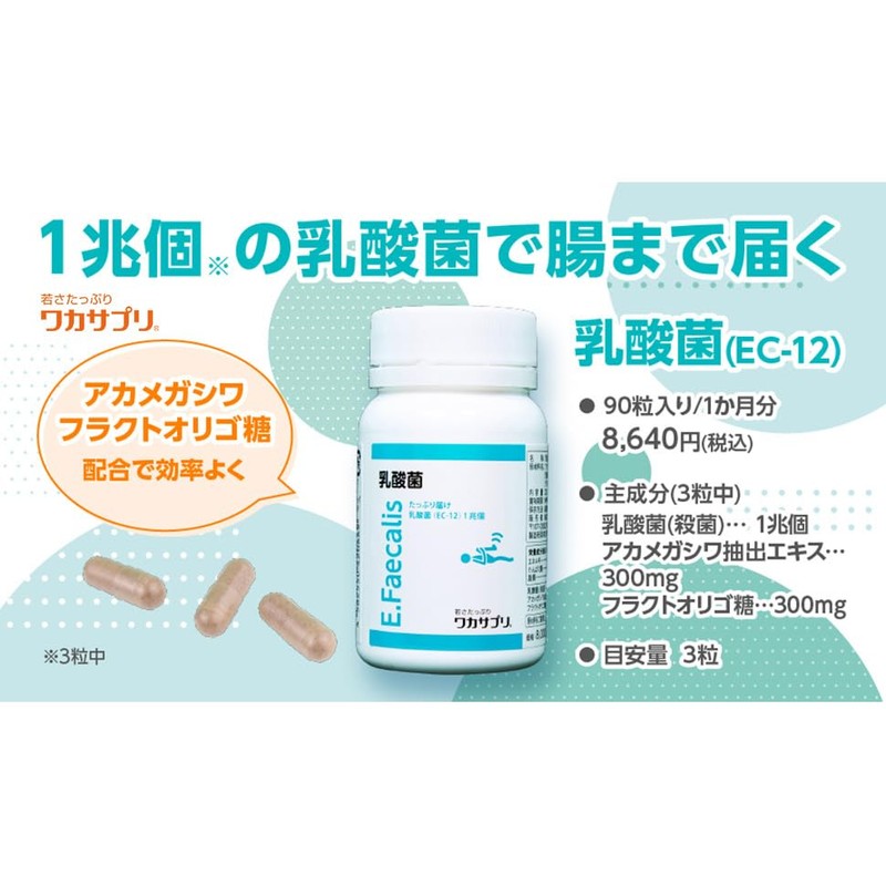 Wakasapuri Lactic Acid Bacteria, 90 Tablets, Approximately 1 Trillion Lactic