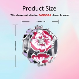 XWN Heart & Love Charm 925 Sterling Silver Beads for Birthday Jewelry Gifts for women girls