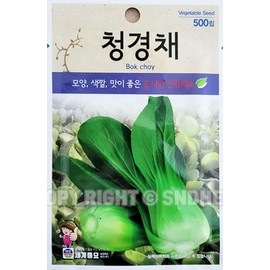 Bok Choy Plant Seeds Korean, 1 Pack, 4 Grams (청경채)