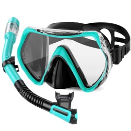 Snorkel Set Adults,Snorkel Mask Anti-Fog Panoramic View Diving Mask Dry Top Snorkel Kit Anti-Leak Snorkeling Gear for Snorkeling Scuba Diving Swimming Travel with Carry Bag