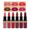 Set De Lápiz Labial Mate Transferproof, Maquillaje De Labios
