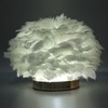 Feather Table Lamp USB Type C 5V Touch Control Stepless