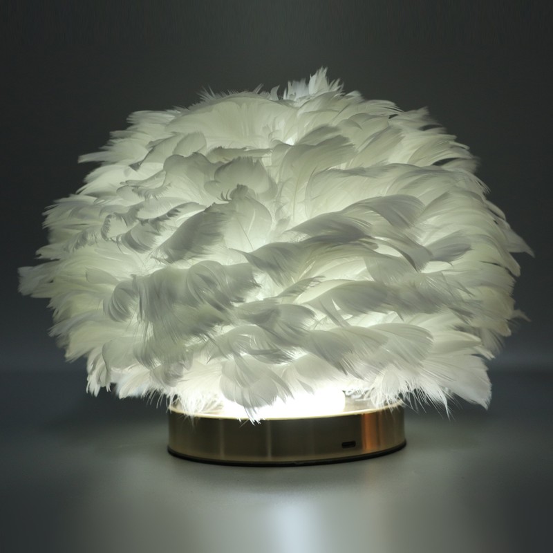 Feather Table Lamp USB Type C 5V Touch Control Stepless