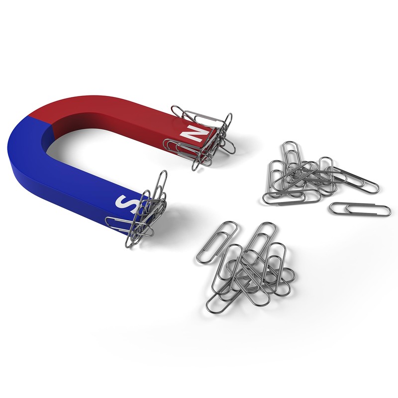 Set of 2 Educational Magnets - Horseshoe and Linear -