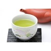 Juroen Saga Green Tea Ureshino Tea 3.5 oz (100 g)