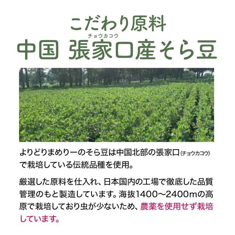 【黒トリュフ味】ogaland そら豆スナック 170g お菓子 おつまみ スナック チップス