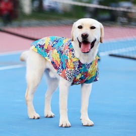 LHYZ PARK Hawaiian Beach Print Pet Dog Cat T-Shirts Cute for Small to Medium Dog Cats Cool Summer Vest Camp Shirt Clothes (Orange Blue, S)