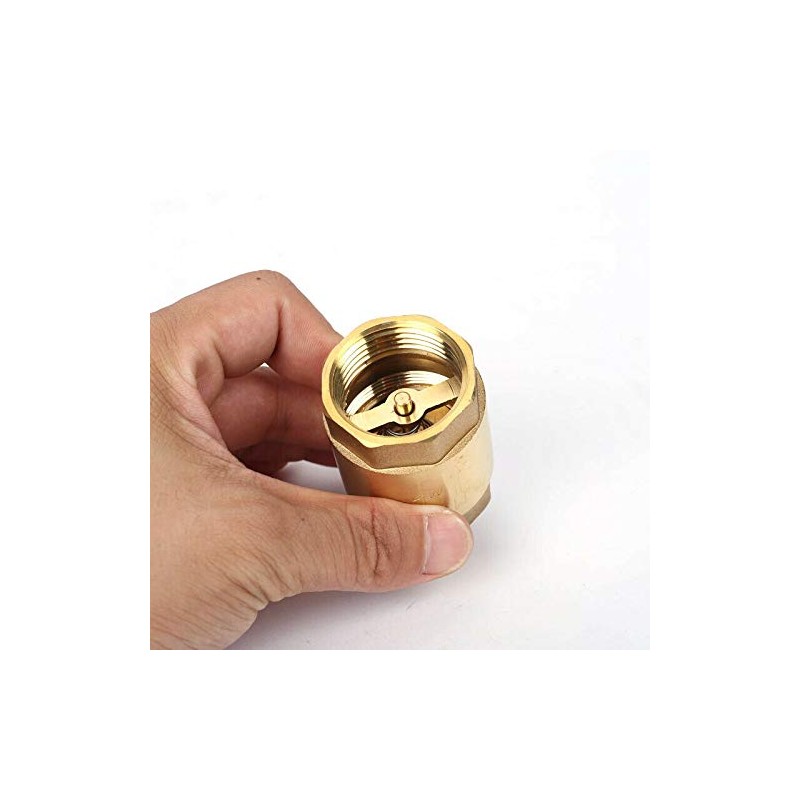 SUPERTOOL Spring Check Valve DN32 1 1/4 Inch Single Check