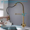 GICASA Kitchen Faucet with Temperature Digital Display, 304 Stainless Steel