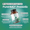 Layer Origin PureHMO Human Milk Oligosaccharide (HMO 2'-FL) Prebiotic Fiber