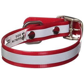 Dublin Dog 12.5-Inch to 17-Inch KOA Reflective Waterproof Dog Collar, Medium, Red