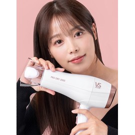 2000W Power Dryer (VSD565K) / 2000W 파워 드라이어 (VSD565K)