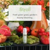 Glade True Diffusing Mist Room Fragrance Spray Stroll mist 1fl