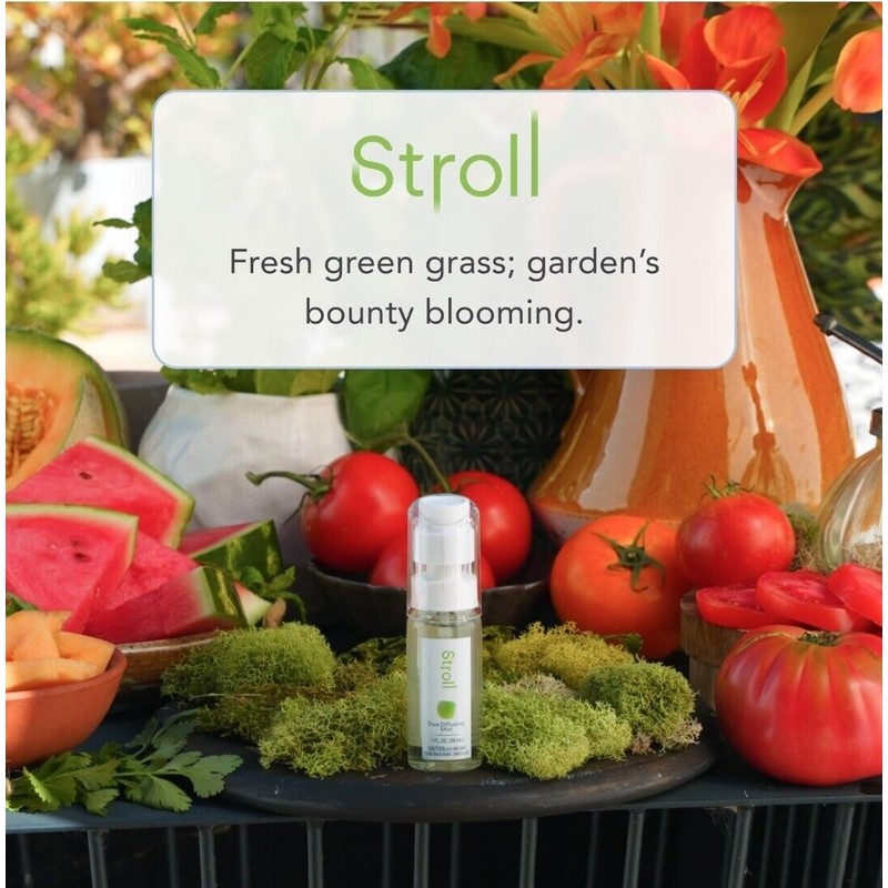 Glade True Diffusing Mist Room Fragrance Spray Stroll mist 1fl