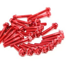 Autobahn88 Motorcycle Engine Bolt Dress-up Kit, compatible with Suzuki GSX 250 R 2017-2019 (Red) (Set of 25)