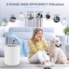 Ecofort HP670 Replacement Filter Compatible with Hunter HP670 Large Tower