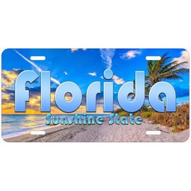 Florida Sunshine State Novelty Car Auto License Plate