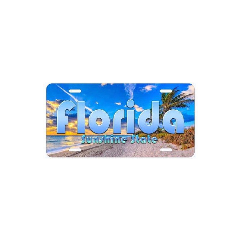 Florida Sunshine State Novelty Car Auto License Plate