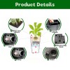 Smart Planter 22 Inch Black Square Faux Rattan Automatic Watering
