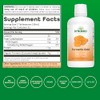 Dynamic Health Labs Turmeric Gold Supplement, 32 Ounce