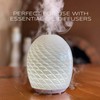 Ola Prima 16 oz Oregano Essential Oil Big Bottle