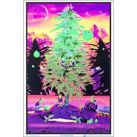 Weed Gnomes Laminated Blacklight Poster - 23.5" x 35.5"