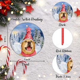 Baby Dog Christmas Ornament Labrador Retriever Ornament First Christmas in New Home Christmas Ornament Ceramic Ornament for Christmas Tree Decoration Hanging Santa Hat Dog Ornament Xmas Welcome Gift