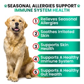 Dog Allergy Relief Chews - Dog Itch Relief - Probiotics, Omega 3 Fish Oil + Colostrum - Itchy Skin - Seasonal Allergies - Anti Itch Support & Hot Spots - Immune Health Supplement - Made in USA