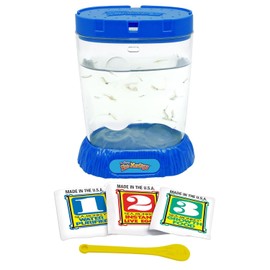 Sea-Monkeys® Ocean Zoo - World's Only Instant Pets® - Assorted Colors - Ages 6+ (Pack of 1)