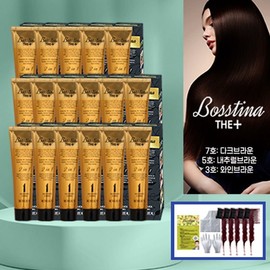 Bostina The Plus 17 pieces + 5 tail combs, 3. No. 3 wine brown (reddish brown) / 보스티나 더 플러스 본품 17개+꼬리빗 5개, 3. 3호 와인브라운 (적갈색)