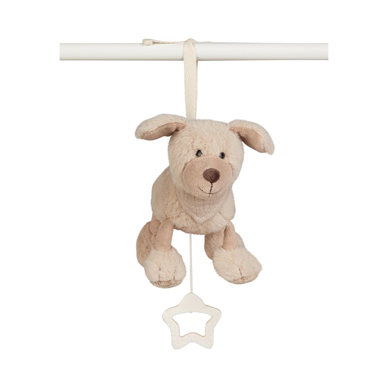 Lucky Dog Musical Box Small