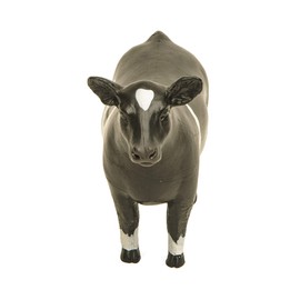 Little Buster Toys Champion Crossbred Show Steer - Black/White