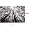 Bgraamiens Puzzle-Forest in Black and White-1000 Pieces Creative Black and