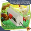 Automatic Chicken Waterer Stainless Steels 14 Windows Chicken Water Feeder