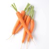 Carrot-Amsterdam (3600 Seeds)