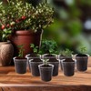 120 Pcs 2" Clear Mini Nurery Pots, Seedling Pots with