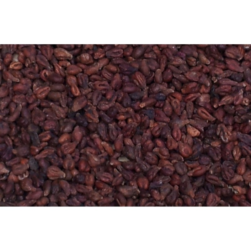 Neck Pillow Light Blue Grape Seeds | Neck and Shoulder