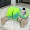 MIJOMA Cuddly Koala Dog Toy Made of Plush, Squeaky Function,