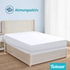 Twinzen - Mattress Protector 80 x 160 cm - Waterproof